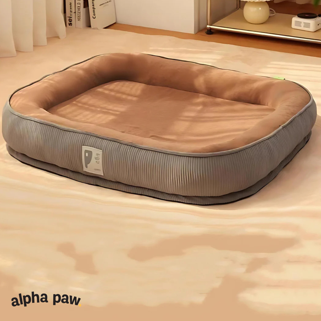 Pampered Pet: Plush Comfort Sleeper