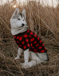 Load image into Gallery viewer, Big Dog Plaid Pajamas
