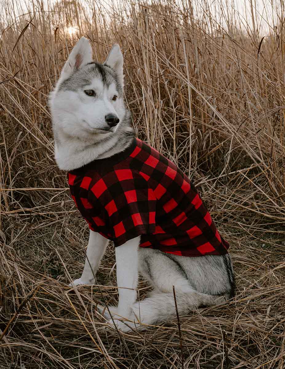 Big Dog Plaid Pajamas