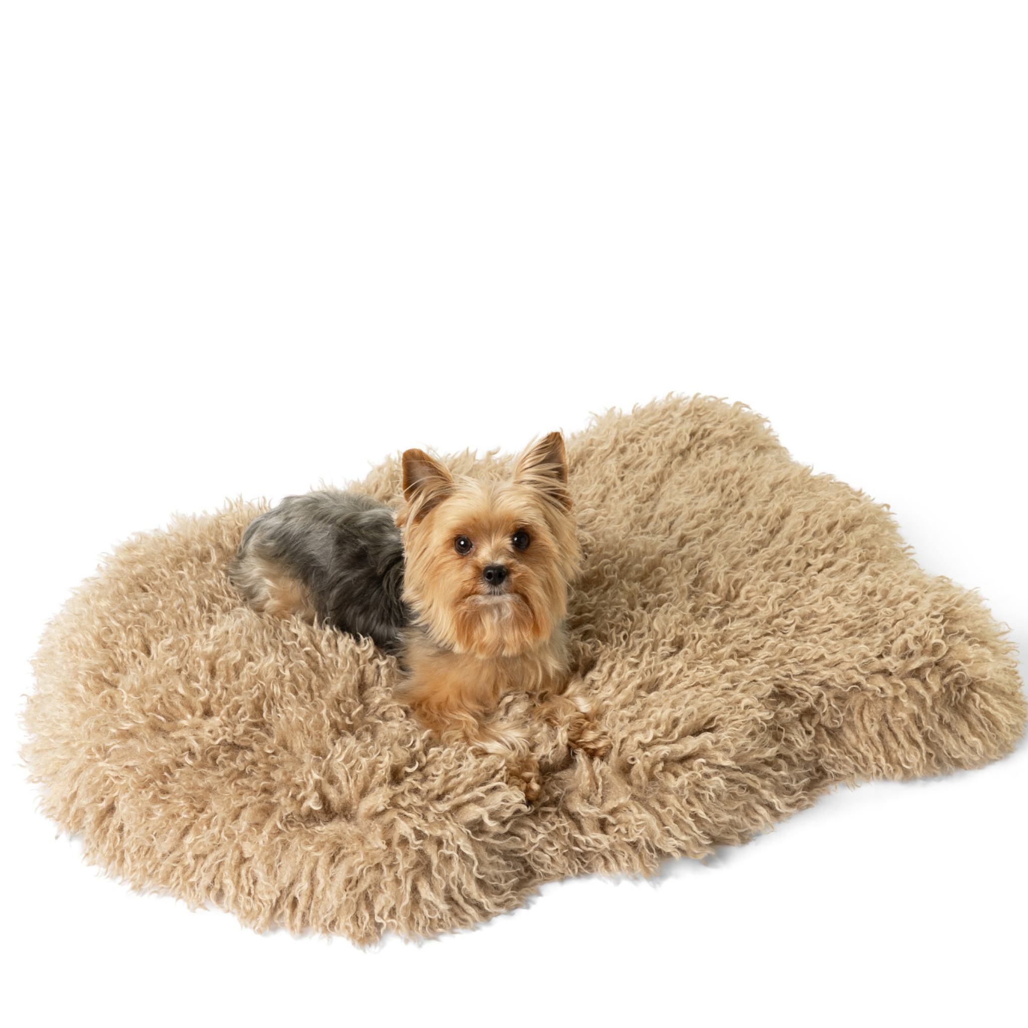 PupRug™ Luxe Faux Fur Orthopedic Dog Bed -  Plush Sheep Tan