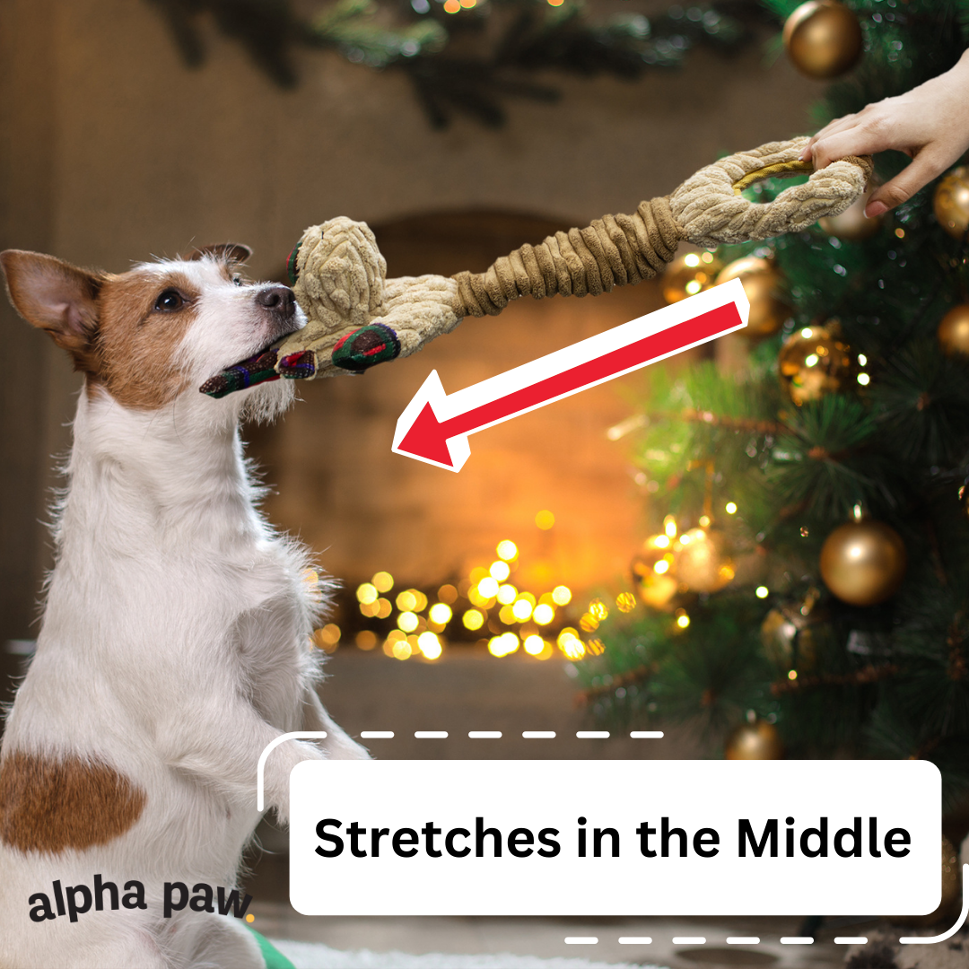 Stretch Pet: Christmas Reindeer