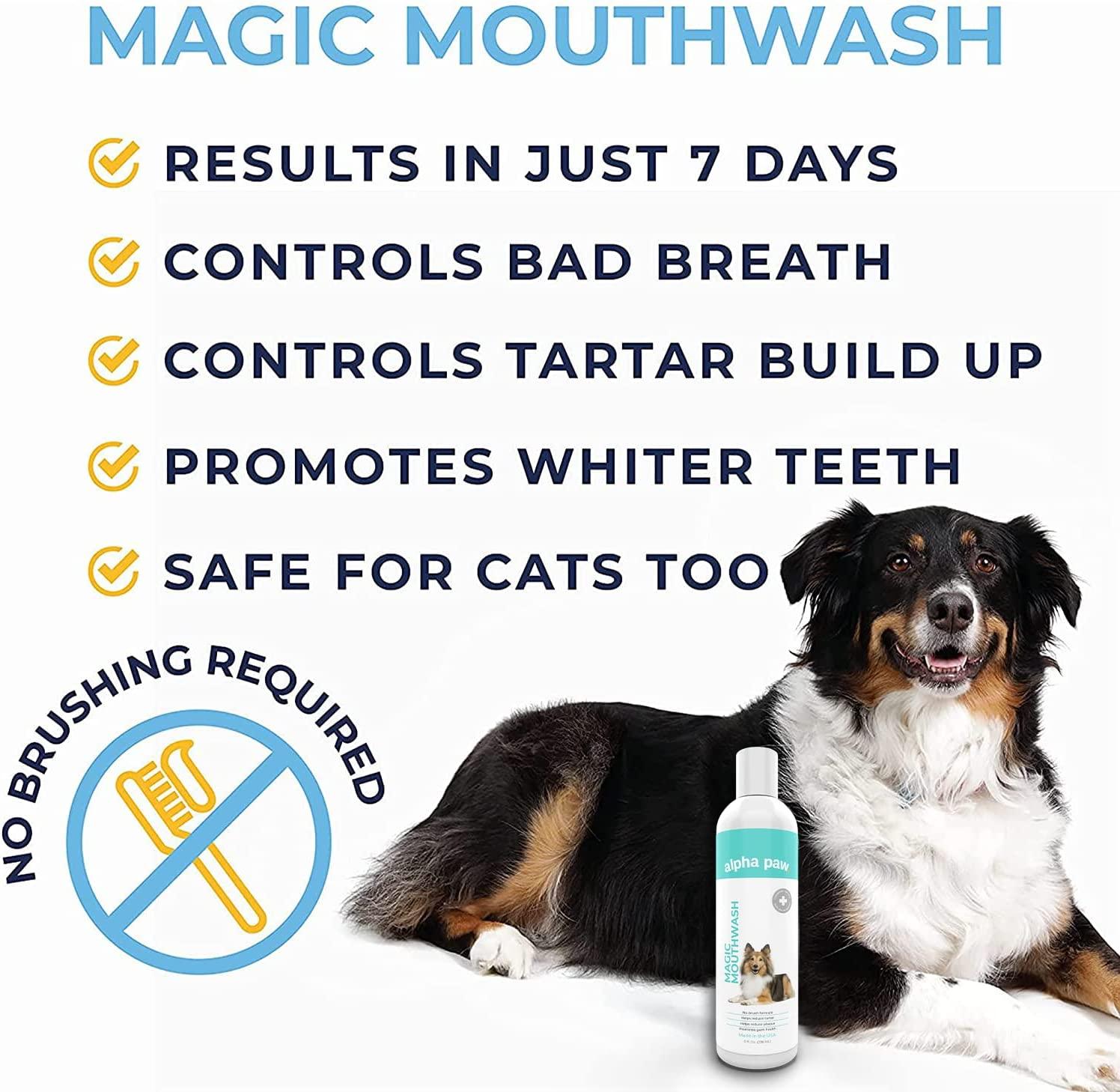 Dog mouthwash clearance