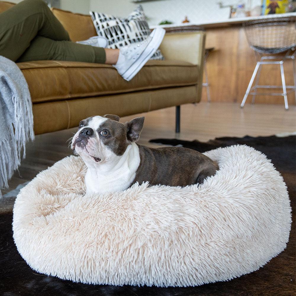 Cozy Calming™ Bed for Dogs | Alpha Paw