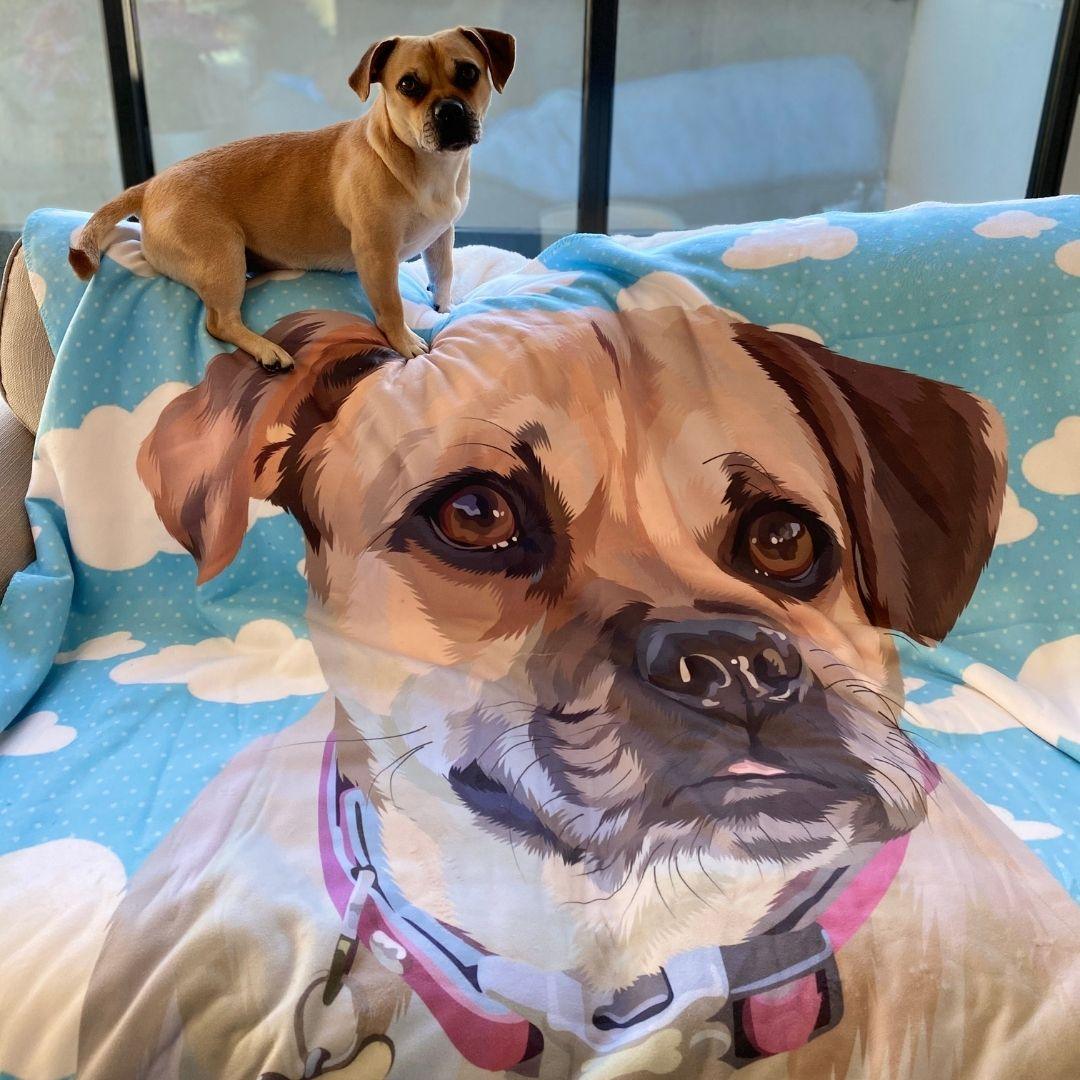 Custom blankets with pet pictures hot sale