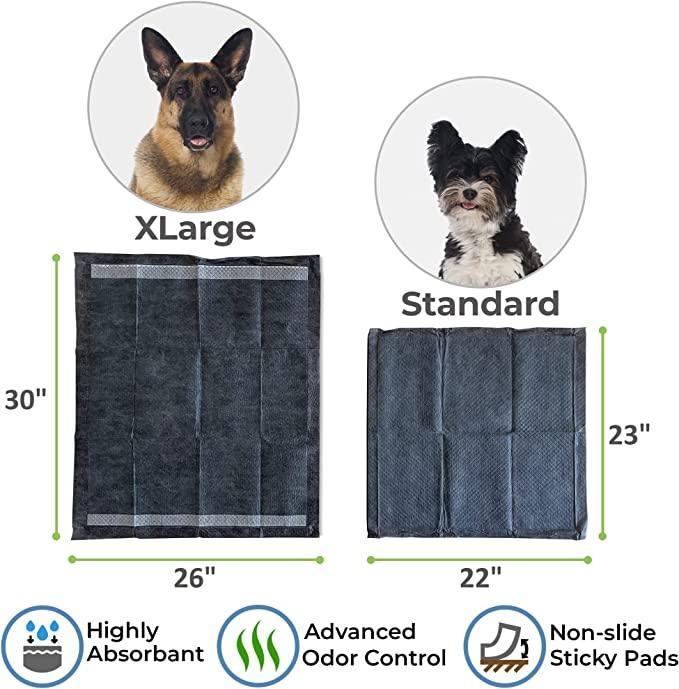 Pet mojo outlet pee pad