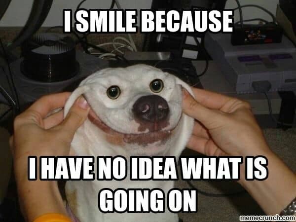 37+ Most Adorable Smiling Dog Memes