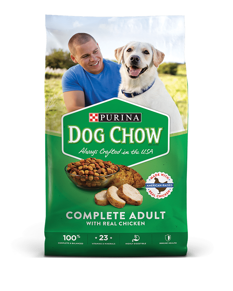 Top 10 worst rated dry dog food brands of 2024