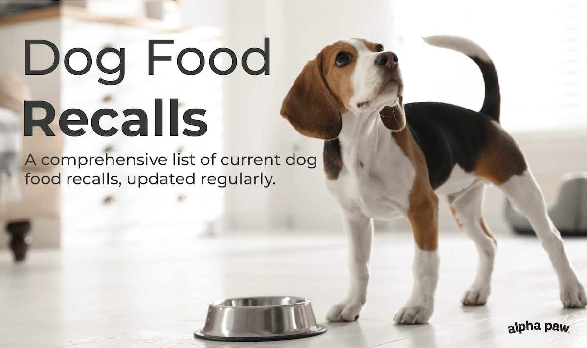 Dog Food Recall Alerts A Complete List For 2021